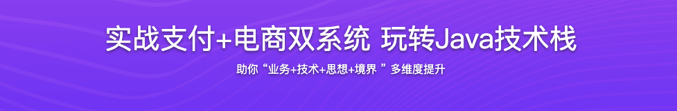 实战支付+电商双系统 玩转Java技术栈【完结】