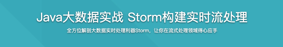 Java大数据实战 Storm构建实时流处理【完结】
