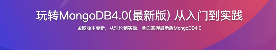玩转MongoDB4.0(最新版) 从入门到实践【完结】