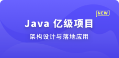 Java 亿级项目架构设计与落地应用【完结】