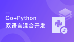 Go+Python打造电商系统 自研微服务框架【完结】
