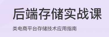 后端存储实战课
