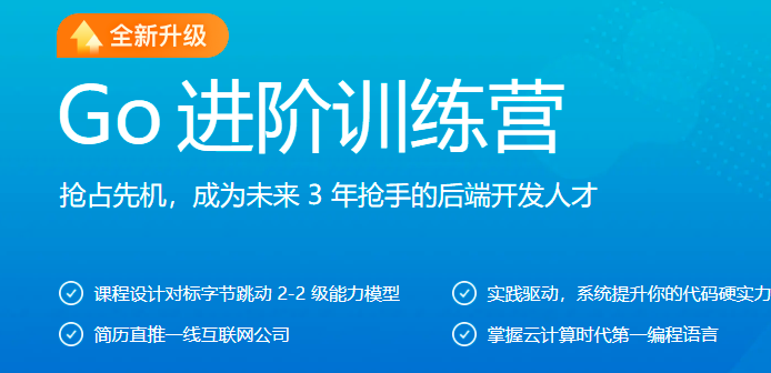 Go进阶训练营第五期