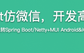 Netty+Spring Boot仿微信，开发高性能后台及客户端【完结】