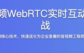 5G时代必备音视频WebRTC实时互动直播技术入门与实战【完结】