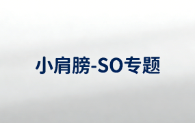 SO专题