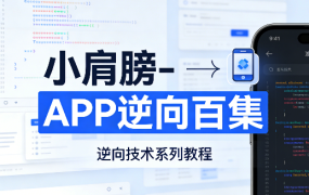 APP逆向百集