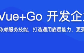 (打造简历金牌项目)Vue+Go 开发企业级微服务网关项目【完结】