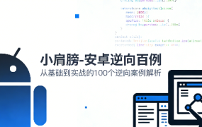 安卓逆向百例