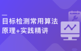 深度学习之目标检测常用算法原理+实践精讲【完结】