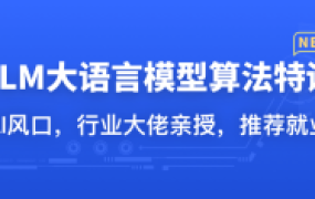 LLM大语言模型算法特训 带你转型AI大语言模型算法工程师【完结】