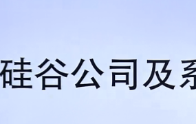 硅谷公司及系统设计【完结】