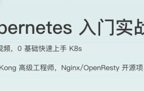 Kubernetes 入门实战课