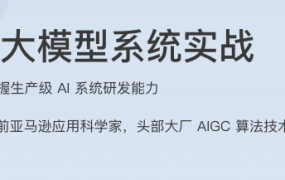 AI 大模型系统实战