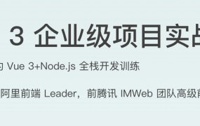 Vue 3 企业级项目实战课