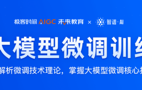 AI大模型微调训练营