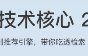检索技术核心 20 讲