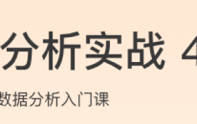 数据分析实战45讲