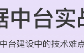 数据中台实战课