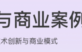 技术与商业案例解读
