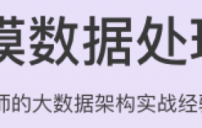 大规模数据处理实战
