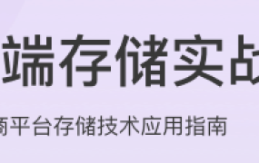 后端存储实战课