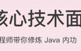 Java核心技术面试精讲