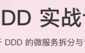 DDD实战课