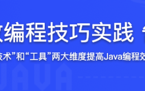 Java高效编程技巧实践 告别996【完结】