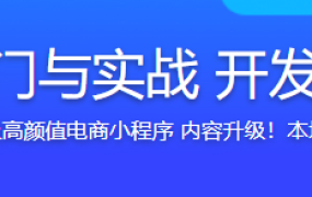 支付宝小程序入门与实战 开发高颜值电商项目【完结】