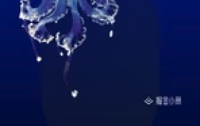 大厂 H5 开发实战手册