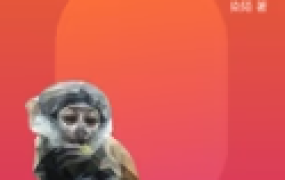 剖析 Vue.js 内部运行机制