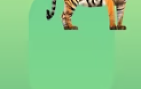 前端性能优化原理与实践