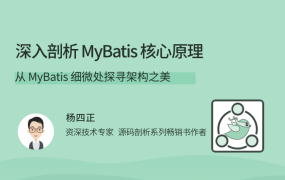 深入剖析 MyBatis 核心原理