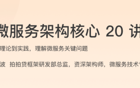 微服务架构核心 20 讲