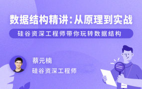 数据结构精讲：从原理到实战