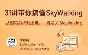31 讲带你搞懂 SkyWalking