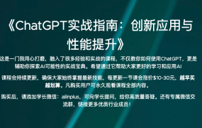 ChatGPT实战指南：创新应用与性能提升