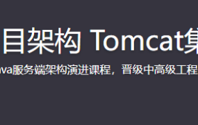 Java企业级电商项目架构 Tomcat集群与Redis分布式【完结】