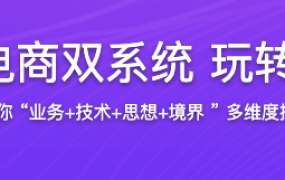 实战支付+电商双系统 玩转Java技术栈【完结】