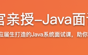 Google面试官亲授-Java面试新手尊享课【完结】