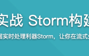 Java大数据实战 Storm构建实时流处理【完结】