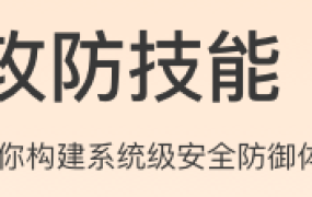 安全攻防技能30讲