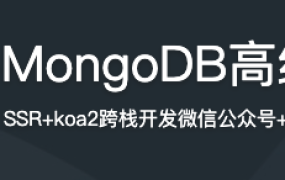 Vue+Node+MongoDB高级全栈开发【完结】